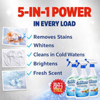 Fabric Stain Remover Liquid | Color-Safe | BUY 1 GET 1 FREE!