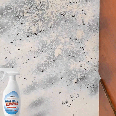 Wall Mold Remover Spray